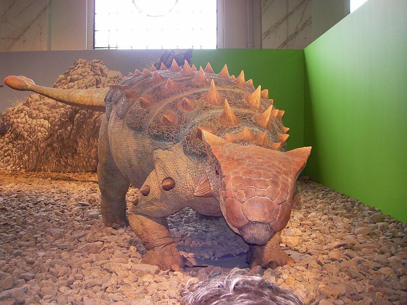 LV Zeltlager 2008 105.jpg